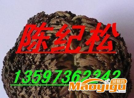 新產(chǎn)品、最新產(chǎn)品、新奇特、毛冬青