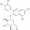 氯化矢車菊素-3-O-葡萄糖苷，氯化矢車菊素