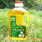 供應運春1L山茶油 保健食用油 專利產品