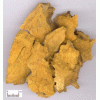 質(zhì)優(yōu)價(jià)廉的大黃素，虎杖提取物，植物提取物