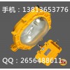 BFE8120 內(nèi)場強光防爆應(yīng)急燈