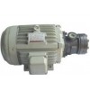 1/2HP-6P電機(jī)，1HP-6P電機(jī)，2HP-6P電機(jī)，3HP-6P電機(jī)西麗生產(chǎn)廠家