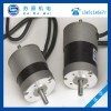 高轉(zhuǎn)速攪拌器電機 直流電動機