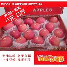 供應(yīng)85#全紅一級(jí)果， 紅富士蘋果 煙臺(tái)鵬大食品 4.5kg一箱