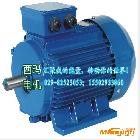 供應(yīng)西安泰富西瑪YGM2-160M1-2 11KW  IP54，F(xiàn)級，西瑪電機