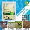 發(fā)酵床養(yǎng)蛇的生物菌種賣(mài)的貴嗎