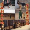 河南省安陽哪里有賣比利時(shí)馬犬的比利時(shí)馬犬價(jià)格