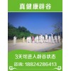 佛山辟谷公司——找佛山辟谷養(yǎng)生中心