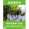 沈陽(yáng)7天辟谷——這里薦選【辟谷營(yíng)】7天辟谷班