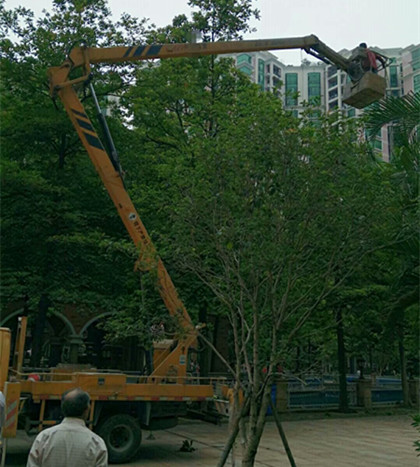 廣東和橋梁維修車出租-中橋建