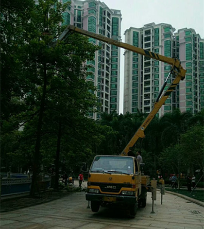 廣東陽春車載式高空車出租-中橋建