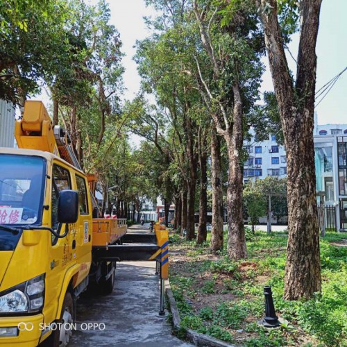 廣東寶安車載式高空車出租-中橋建