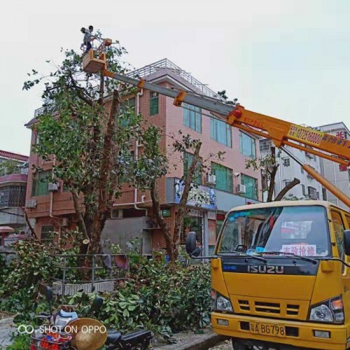 洪湖哪有高空安裝車租賃公司？