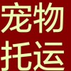 新聞：從大連到太原汽車臥鋪