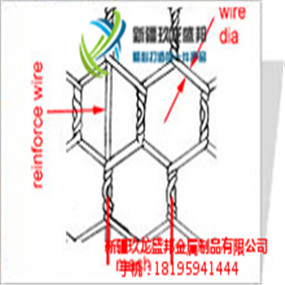 吐魯番石籠網(wǎng)現(xiàn)貨批發(fā)