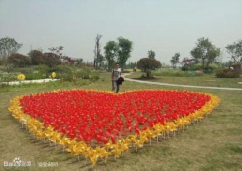 汕頭風(fēng)車展銷售-報(bào)價(jià)