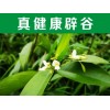 貴陽(yáng)7天辟谷——這里薦選【服氣辟谷】辟谷哪家正宗