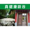 長(zhǎng)春辟谷培訓(xùn)基地——這里薦選【辟谷訓(xùn)練營(yíng)】辟谷哪家正宗