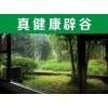 西安辟谷基地——這里薦選【辟谷養(yǎng)生班】辟谷養(yǎng)生培訓(xùn)、