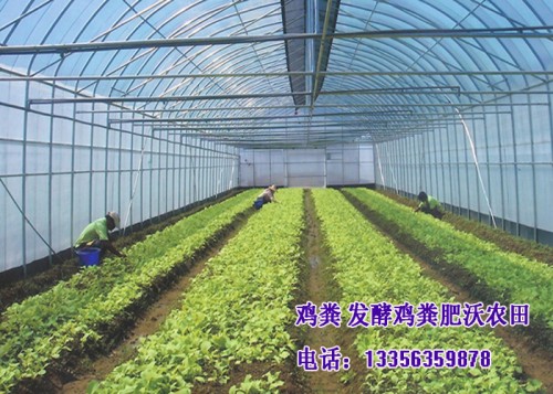 新聞:太原腐熟雞糞促進(jìn)循環(huán)利用