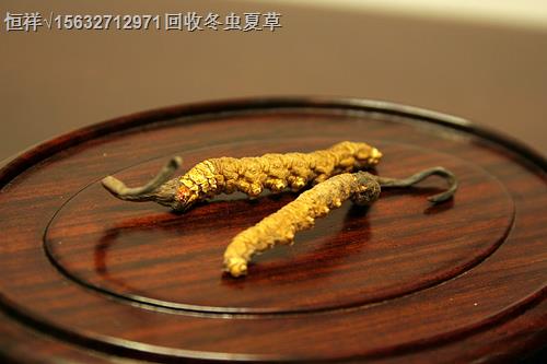 柳州哪里回收冬蟲(chóng)夏草18611557770柳州回收曉芹海參