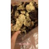 新聞:遼寧新會東甲陳皮禮品定制，送領(lǐng)導(dǎo)送長輩_新會陳皮好處(