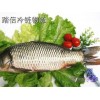 昆山到遼寧省沈陽(yáng)新城子區(qū)冷凍物流公司