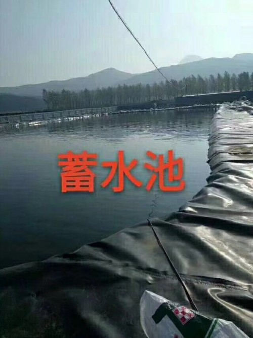 臨汾魚塘護坡膜4元價格多少?