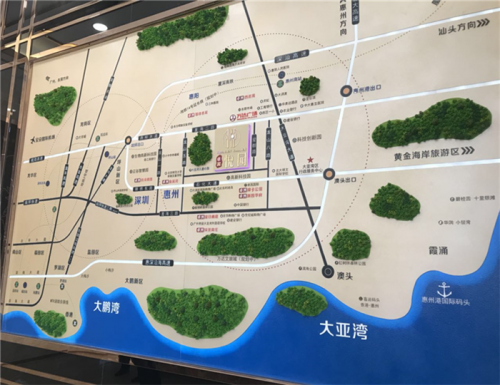 廣東深圳惠州卓洲悅園房價多少錢?不足之處