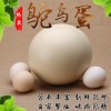 和田常年大量回收非洲鴕鳥(niǎo)，有鴕鳥(niǎo)的來(lái)?yè)Q錢了聯(lián)系電話1317317555